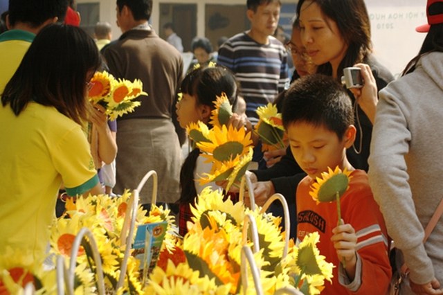 Ngày hội hoa hướng dương tại Hà Nội